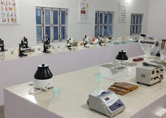 Gallery 2